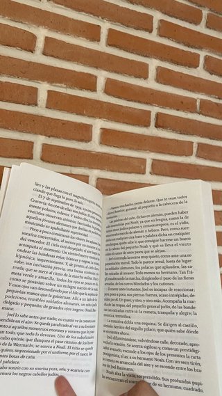 La cometa de Noa