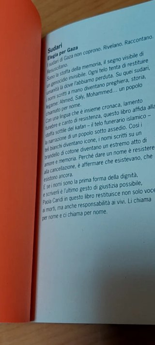 Sudari. Elegia Per Gaza