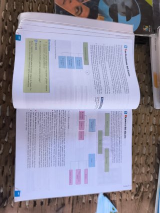 Economía 1, Bachillerato
