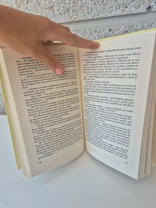 Harry Potter Y La Piedra Filosofal