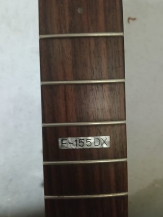 Bajo LTD F155DX Púrpura