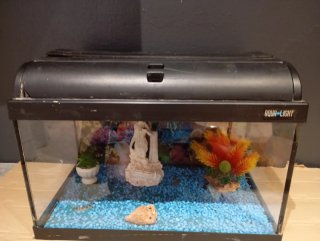 Acuario 50L con accesorios marca Aqua light
