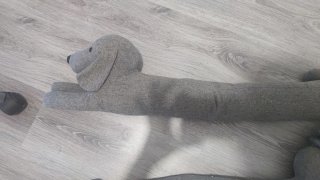 2 Peluches Perro Salchicha Gris