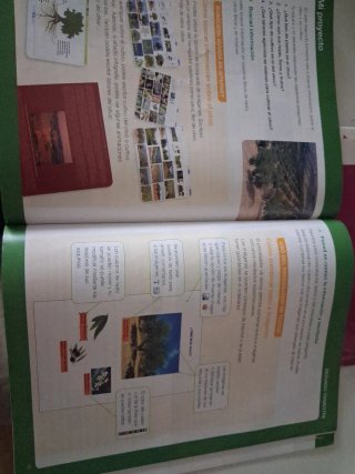 Ciencias de la naturaleza, 4 Primaria