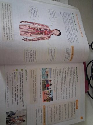 Ciencias de la naturaleza, 4 Primaria