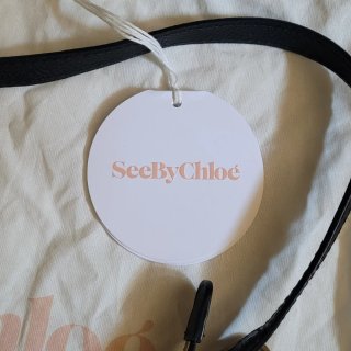 Borsa Chloè piccola nera
