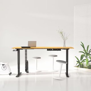 Escritorio Elevable Eléctrico FlexiSpot ED5B-EU