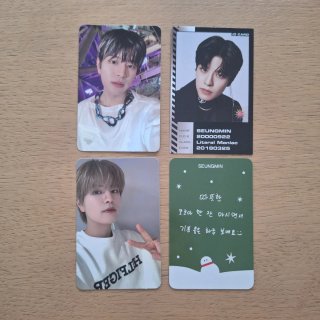 Stray Kids Photocards Set