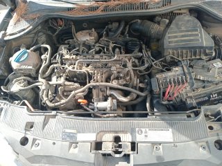 Despiece Seat Ibiza 2014