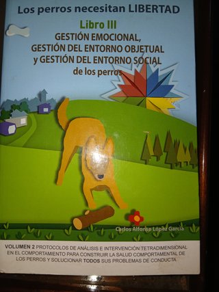 Los perros necesitan libertad.