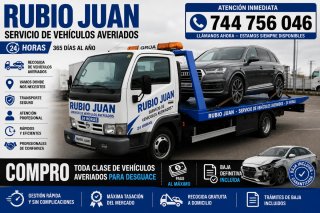 Grúa