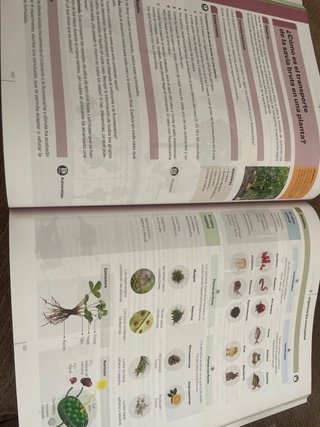 Biología y Geología 1 ESO RADIX Casals