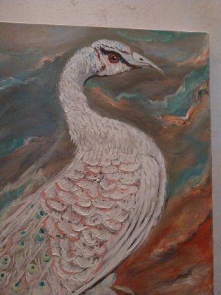 Quadro Pavone Bianco Portafortuna Acrilico