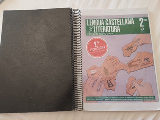Lengua Castellana y Literatura, 2 Bach, Sansy