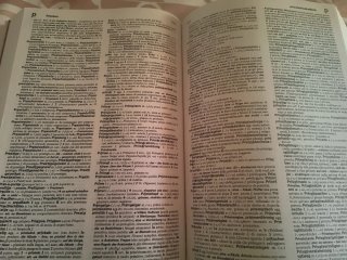 DIT dizionario tedesco italiano