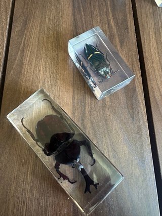 coleccion de bichos en resina cristal