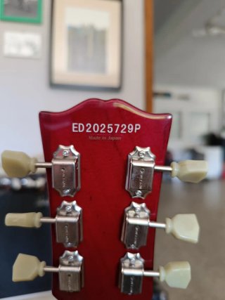 Edwards Les Paul Guitarra Eléctrica