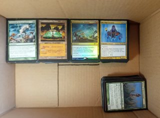 Lotto carte Magic: The Gathering