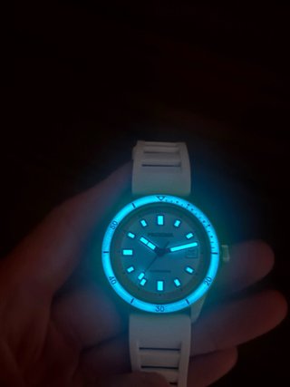 Proxima PT5000 Reloj Automático