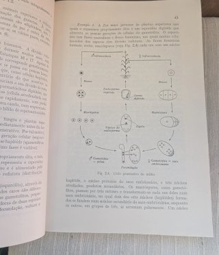 Livro Genética Clássica e Molecular