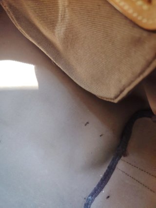 Borsa Louis Vuitton Monogram