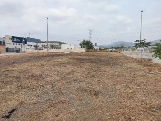 Limpieza de parcelas y jardín teléfono 632139961