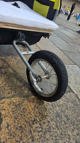 Carro doble para niños