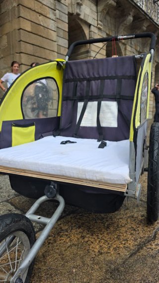 Carro doble para niños