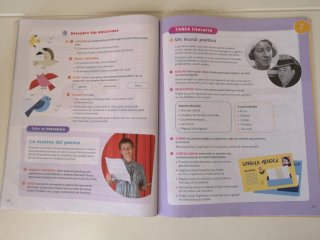 Lengua castellana, 5 Primaria