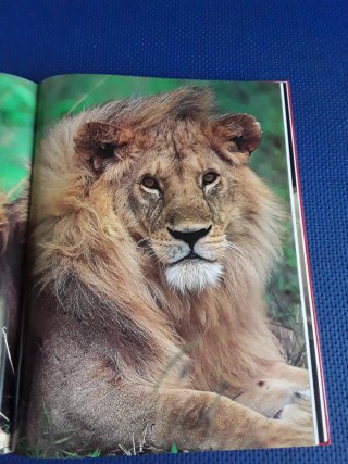 Libro fotografico Emotions