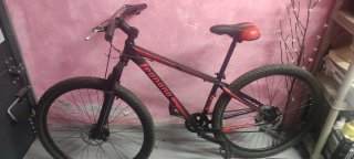 Bicicleta de montaña