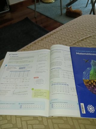 Matemáticas aplicadas a las Ciencias Sociales I...