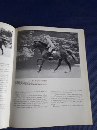 Il perfetto Cavaliere L'equitazione razionale mode