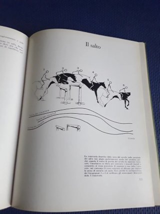 Il perfetto Cavaliere L'equitazione razionale mode