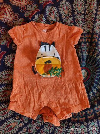Lote 55 piezas ropa bebé Talla 1-3 Meses