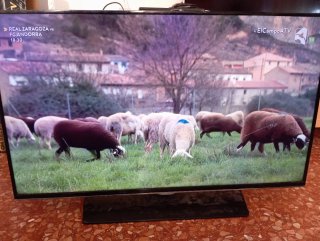 TV Samsung 40 Smart TV Negra