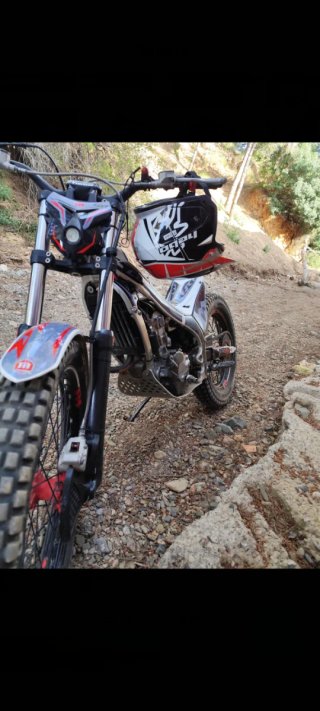 Montesa Cota 4RT 2019 Trial