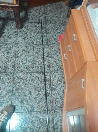 Caña de pescar Daiwa Proteus SURF 39T