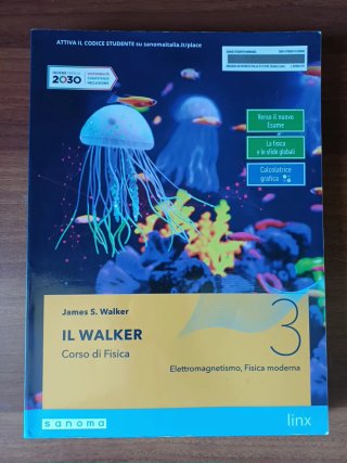 Il Walker 3 - Corso di Fisica