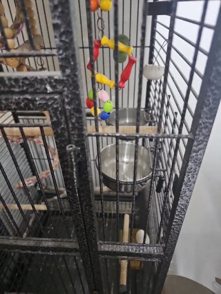 Jaula grande para loros, agapornis, periquitos