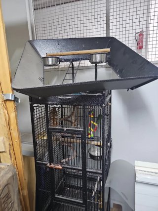 Jaula grande para loros, agapornis, periquitos