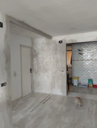 Trabajos de paleta, pintura, y reformas