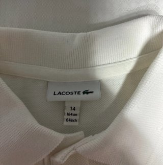 Polo Lacoste Blanco Talla XS