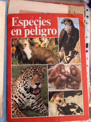 Conjunto de revistas antiguas