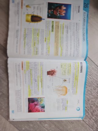 BIOLOGIA I GEOLOGIA 1