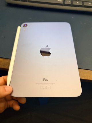 iPad mini 6 256GB Rosa + Apple Pencil + Fundas