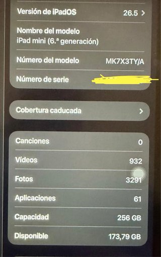 iPad mini 6 256GB Rosa + Apple Pencil + Fundas