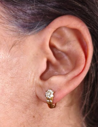 Pendientes Oro 9k Flores Circonitas