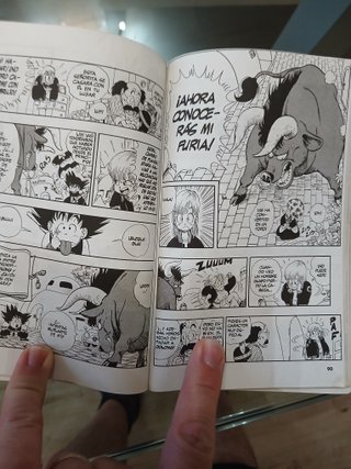 DRAGON BALL. SON GOKU Y SUS AMIGOS
