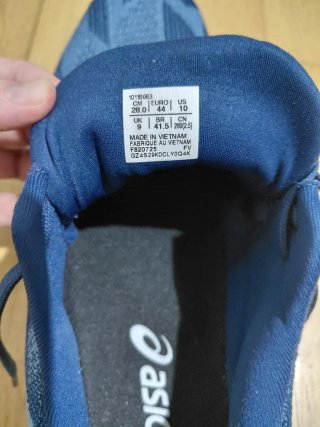 Zapatillas running Asics Dynablast 5